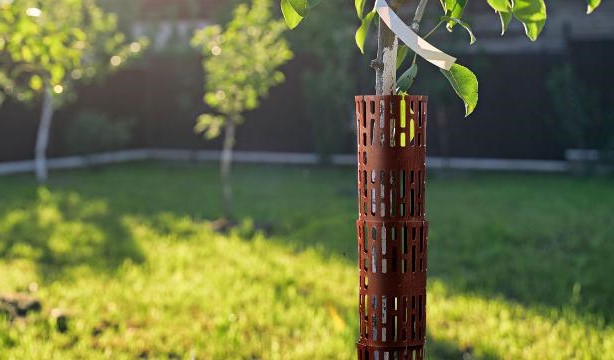 Ограждение Защита кустов и деревьев коричневое, Стандартпарк