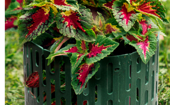 Ограждение Защита кустов и деревьев зеленое, Стандартпарк