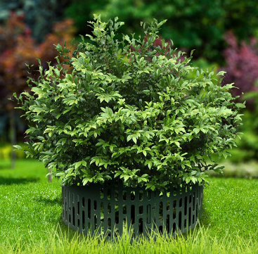 Ограждение Защита кустов и деревьев зеленое, Стандартпарк