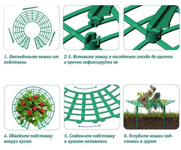 Подставка под клубнику, Стандартпарк