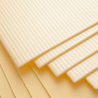 Подложка из экструдированного пенополистирола Теплон листовая 1000х500х3 мм