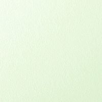 Малярный флизелин Wellton Fliz грунтованный 130 «Wellton Fliz», 1х25 м