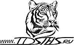 TDStels